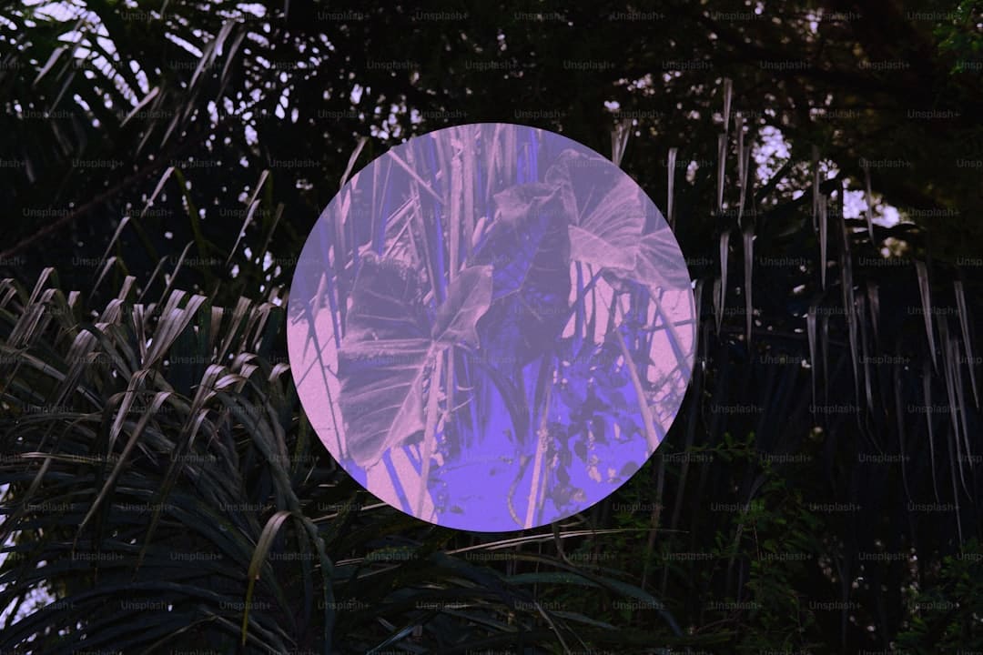 商业头条No.90